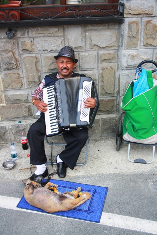 Accordianist